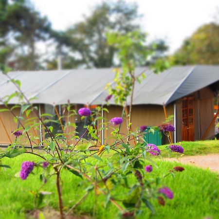 Hotel Durrell Wildlife Camp à Trinity Extérieur photo