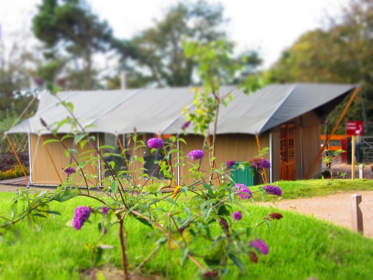 Hotel Durrell Wildlife Camp à Trinity Extérieur photo